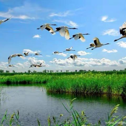 2019 我们继续出发！