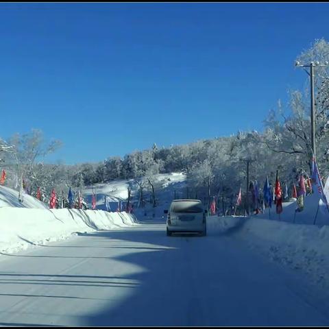 东北冰天雪地自驾游