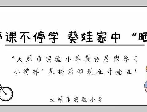 停课不停学 葵娃家中“晒”——太原市实验小学葵娃“居家学习小榜样”展播（二）