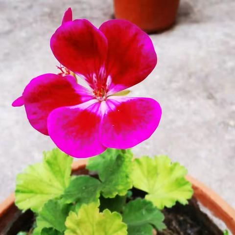 康坡村支部组织读书分享稿