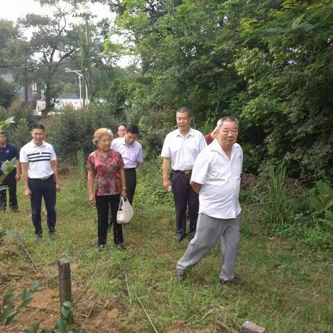 大力发展油茶产业 助推农业供给侧改革 ——市老科协杨汉章会长一行蒞汀调研油茶产业项目