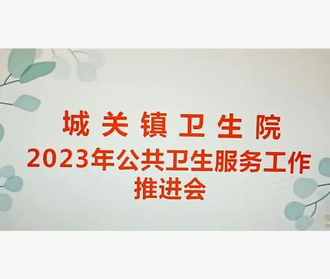 2023年国家基本公共卫生服务项目工作推进会