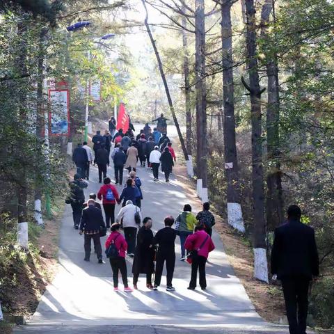 情系家国，今又重阳