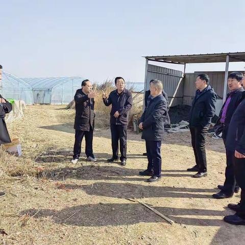 市农业农村局总农经师张彦斌、果蔬产业发展中心主任李文斌到黄山村指导农业园区建设