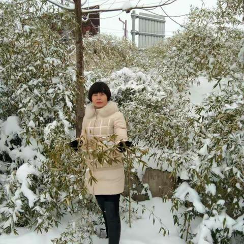 2018年一场大雪后的留恋