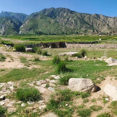 东团堡村，近乡人更怯