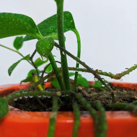 彻到底是亲女哩😁