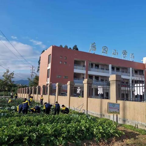 青青蔬果园，劳动最最甜——后因小学“劳动教育实践基地”的实践活动