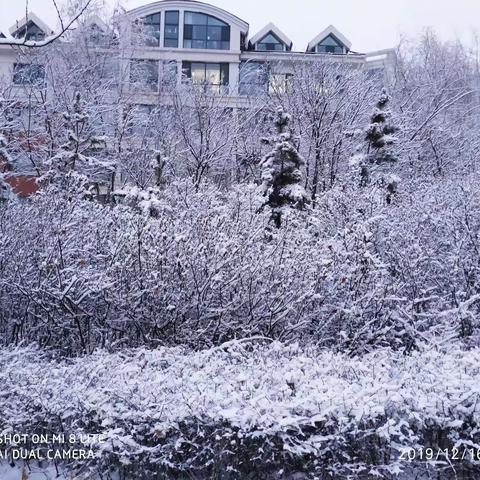 今天 以雪花的名义