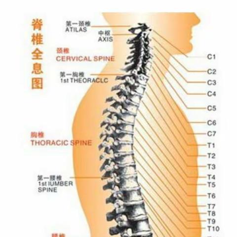 腰痛反反复复，腰肌劳损如何做到标本兼治？