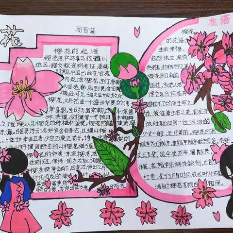 樱花🌸手抄报