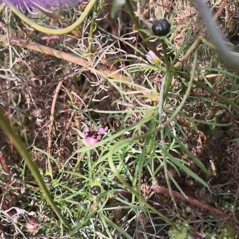 一群人  一颗心  一件事  一根筋