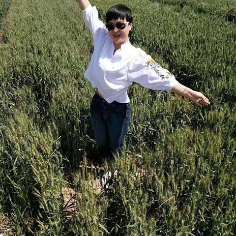 那年那月穗花香～