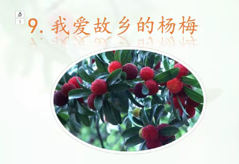习作例文真好：《我爱故乡的杨梅》教学反思