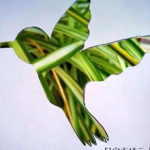 锁住春天的美景  创意镂空画—综合实践活动