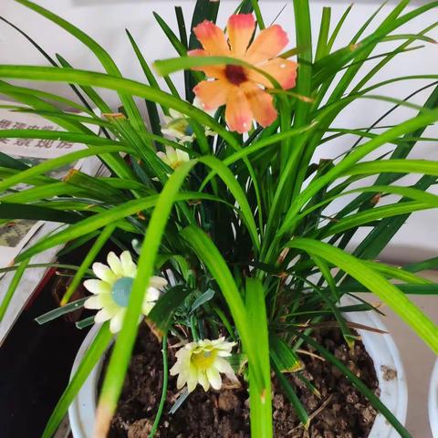 【夜读N篇】心态对了，就不会这么累了