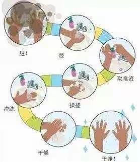 【卫生保健】正确洗手   呵护健康