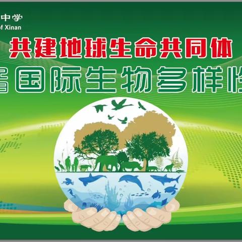 新安三高开展“5·22国际生物多样性日”共建地球生命共同体主题宣传和实践活动