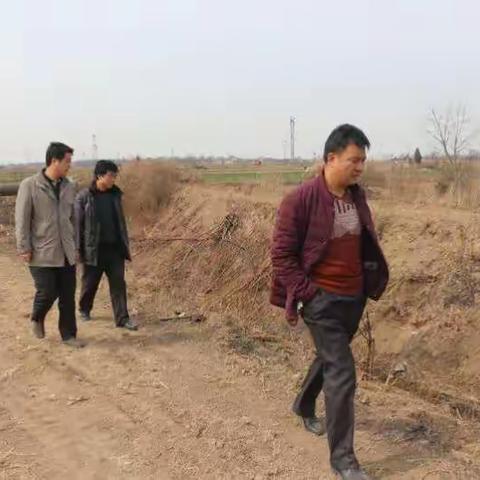 新市街办扎实落实河长制环境卫生整治工作