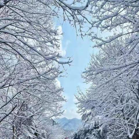 童眼观万物*雪纷飞——朝阳小学六年级七班“雪花节”