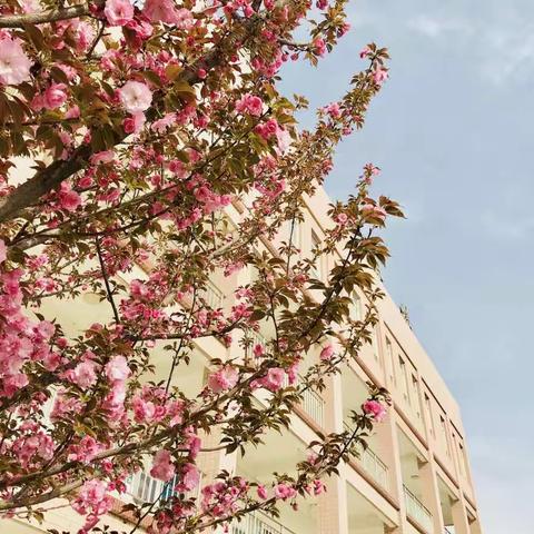 25中2019年高中理化生实验操作考试顺利进行