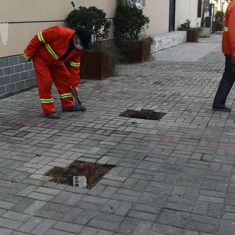 2021年11月8日市政中心养护科工作日志