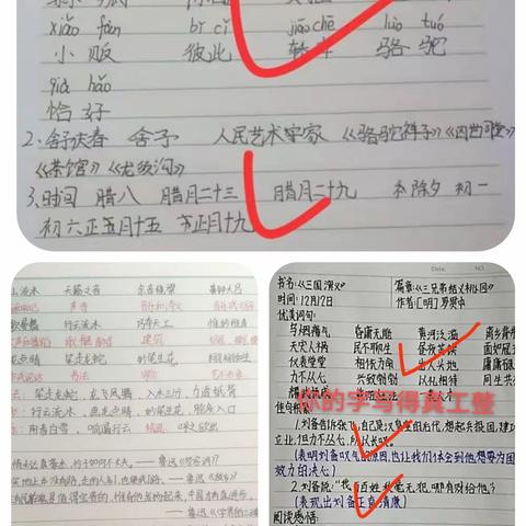 精耕细“作”“业”精于勤【汉德园小学分校】