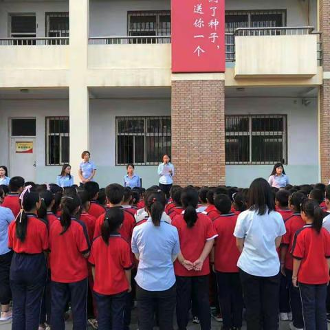 菁菁校园花争艳，莘莘学子吐芳华--------汉德园小学国际部