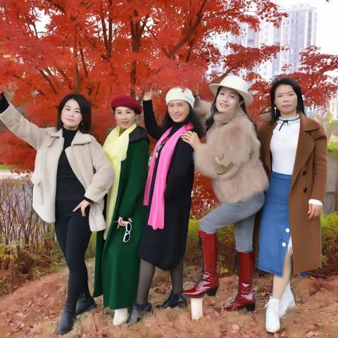 大卫视觉的美篇