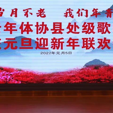 大卫视觉的美篇