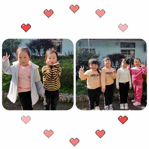 春夏与秋冬——四季与植物