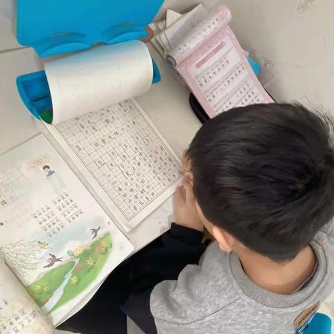 笔墨书香伴我成长——鹁鸽李学校小学部读书、练字活动
