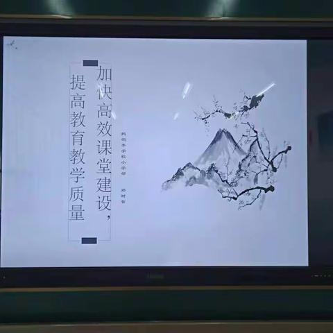 求真务实进课堂，精准施策提质量—洋湖乡学区教学视导工作纪实