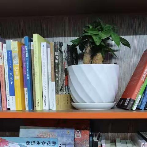 心怀感恩，畅享“悦”读——2021年桂花镇南川小学图书角工作总结