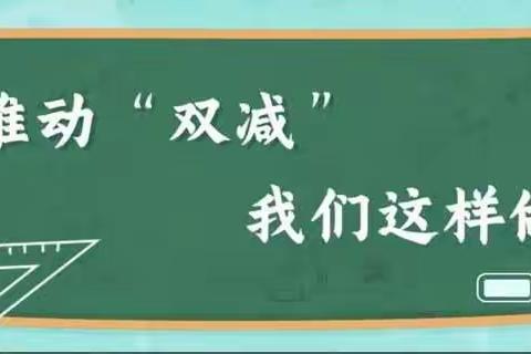 “双减”多彩实践活动，点亮学生幸福童年--金城乡中心学校