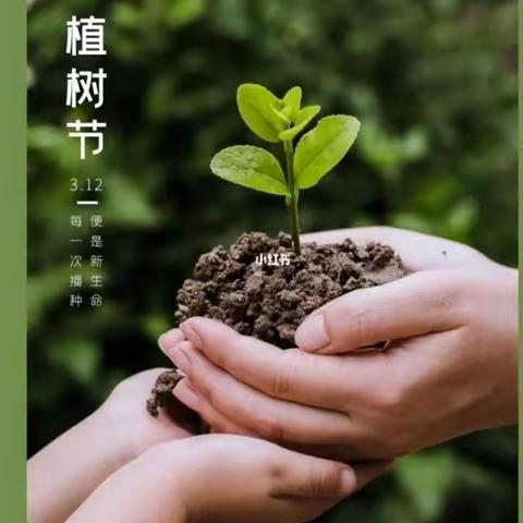 “播种绿色，放飞希望”植树活动