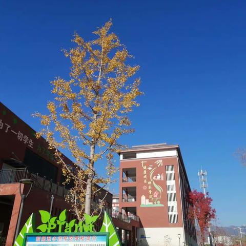 抓住秋的尾巴，秋就与我同在