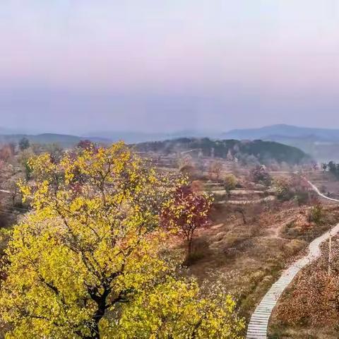 大悟秋色探访记