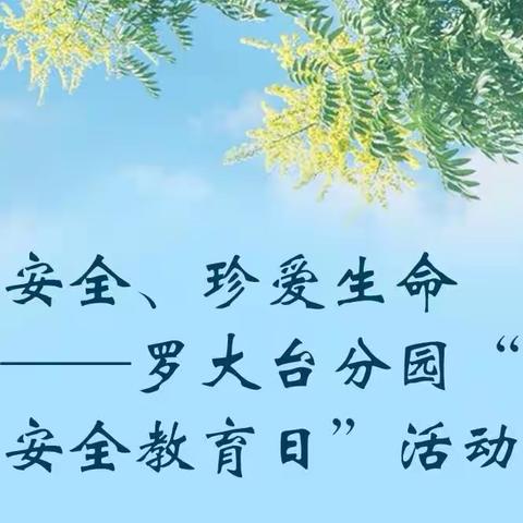 注意安全、珍爱生命————罗大台分园“中小学安全教育日”活动纪实