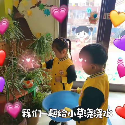 云蒙庄园幼儿园小一班学习雷锋日