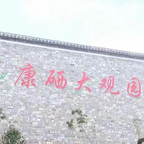 奋发笃行，研学致远--丽村中心小学研学旅行