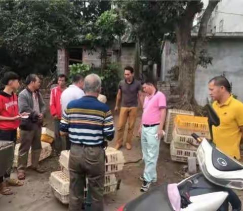 推进产业帮扶，巩固脱贫成效