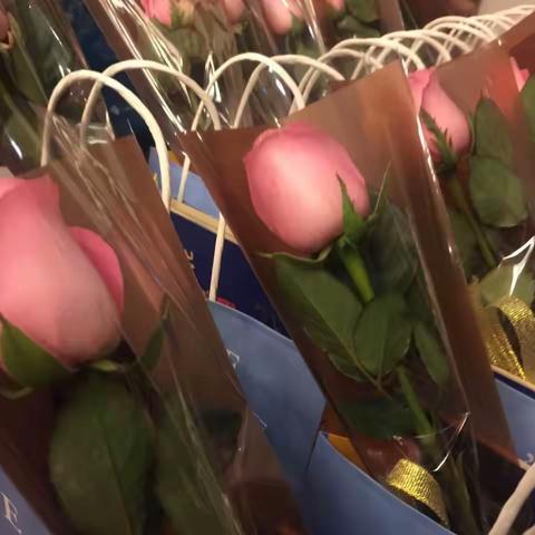 临港新城管理行私行客户茶话会