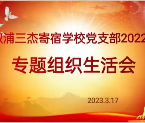 忆初心  明职责  当先锋——记溆浦县三杰寄宿学校组织生活会