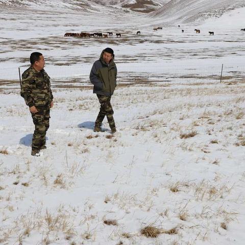 科右前旗草原站检查“倒春寒”对人工草地返青的影响