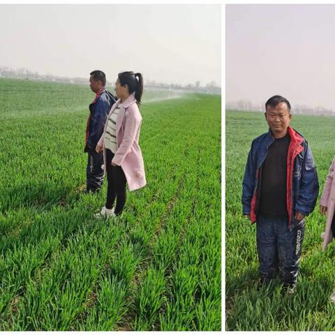 太康寨村第一书记杨文果深入田间助农浇地抗旱