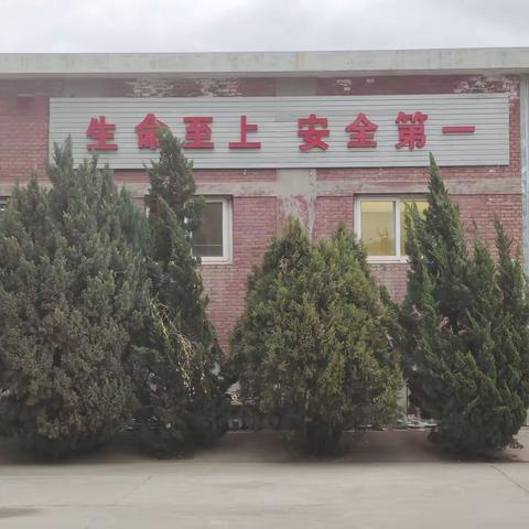 一夜好风吹