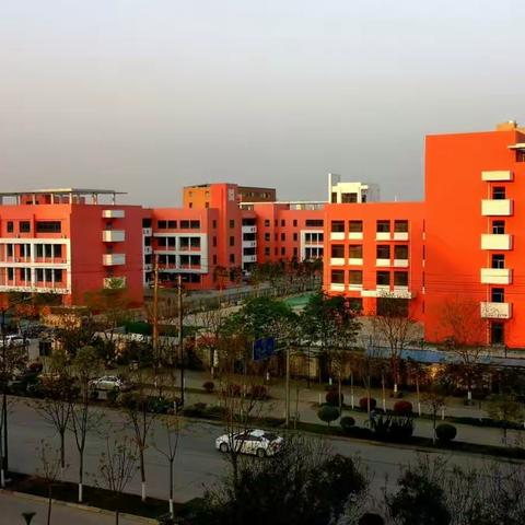 信心满怀升国旗  整装待发迎开学——东关初中举行第十周网上升国旗仪式