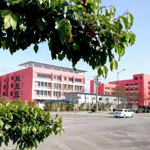 迎晨曦升国旗  播绿意添色彩——东关初中举行第六周网上升国旗仪式