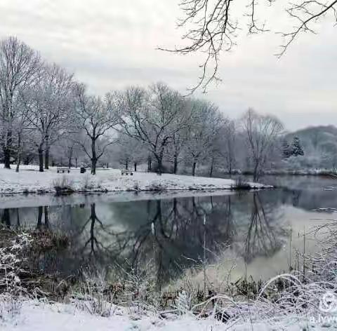 春雪(3月21日晨) 手机照版